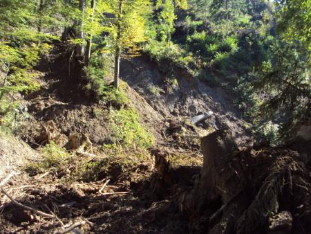 Ocenjevanje škode po naravnih in drugih nesrečah